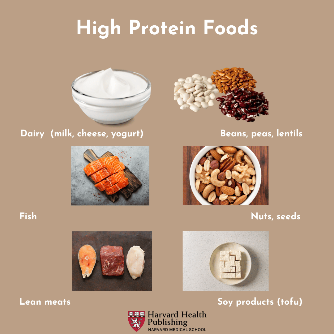 Images of yogurt, salmon, chicken, steak, beans, nuts, and soy products below the text reading High Protein Foods