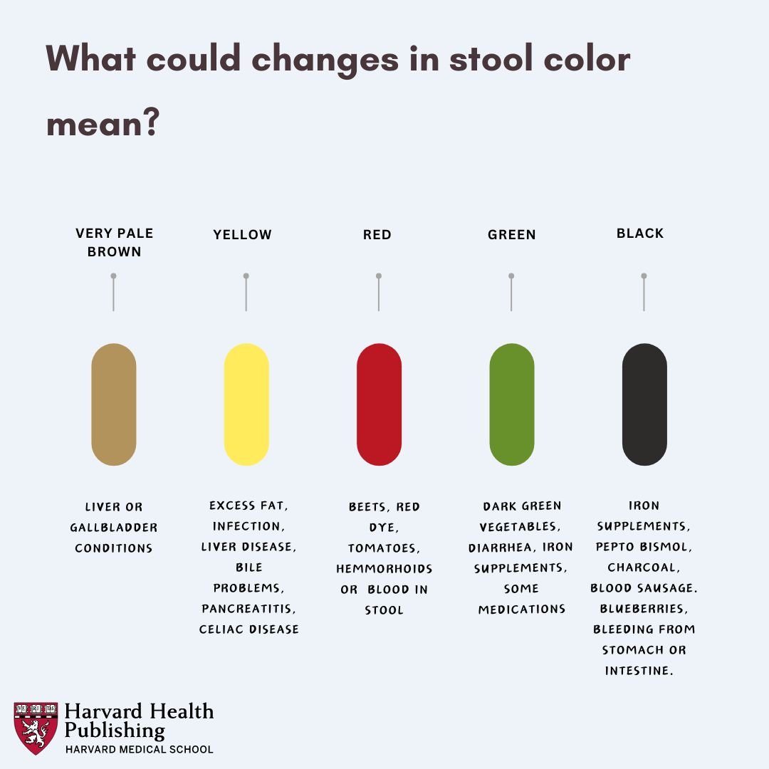 color chart with text explaining what different stool colors could indicate