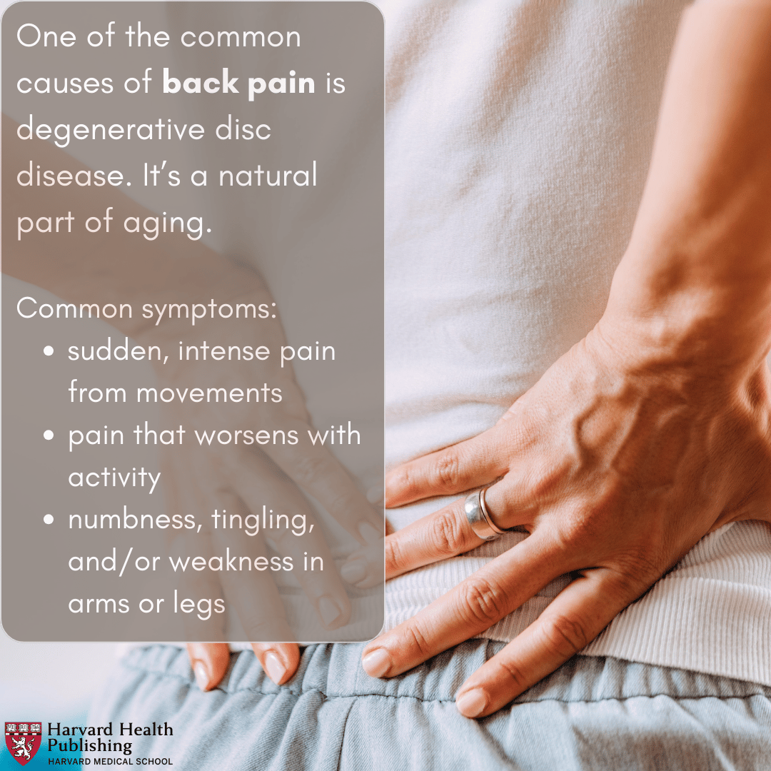 A woman seen only in back and torso is holding her lower back with her hands. She is in pain to show back pain.