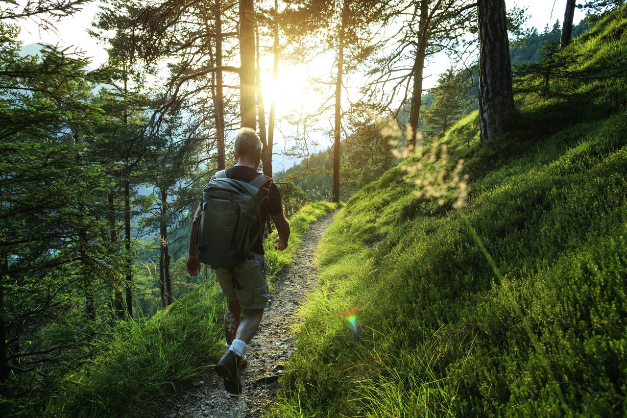 person with backpack hiking though the woods