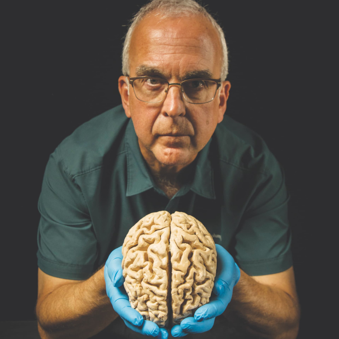 A person wearing blue glove and holding a human brain