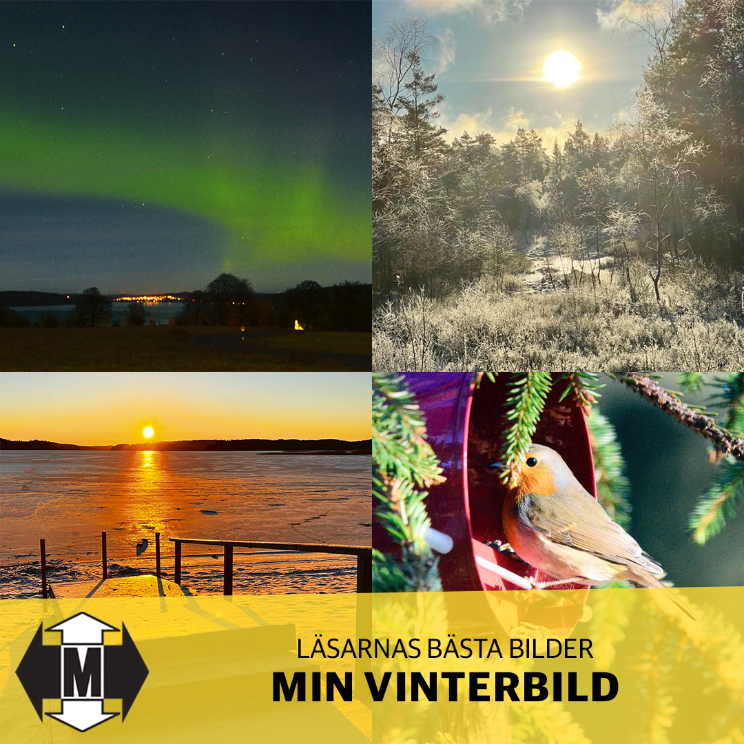 Läsarnas bästa vinterbilder