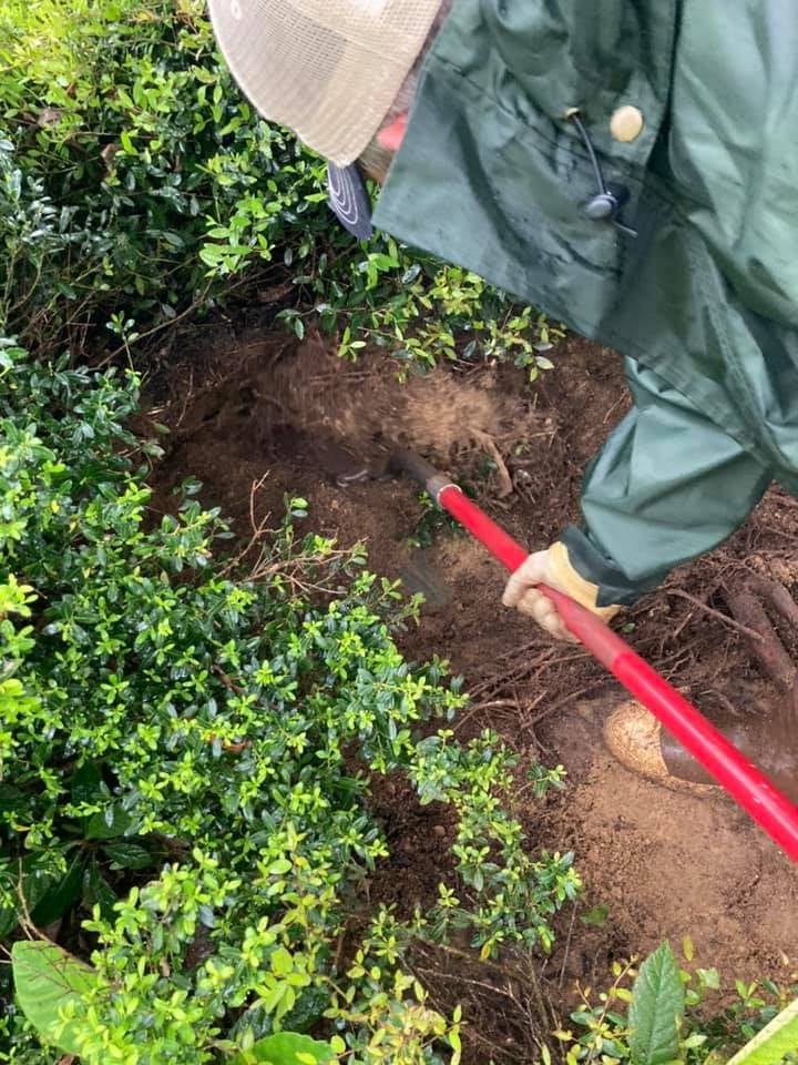 Septic System Service