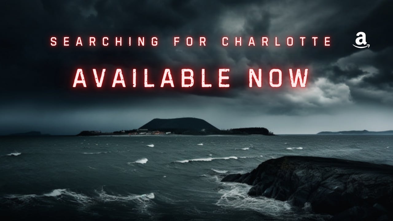 searching for charlotte, book, teen mystery, teen fiction, psychological thriller