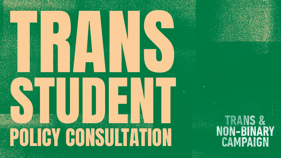 Trans Student Policy Consultation button link