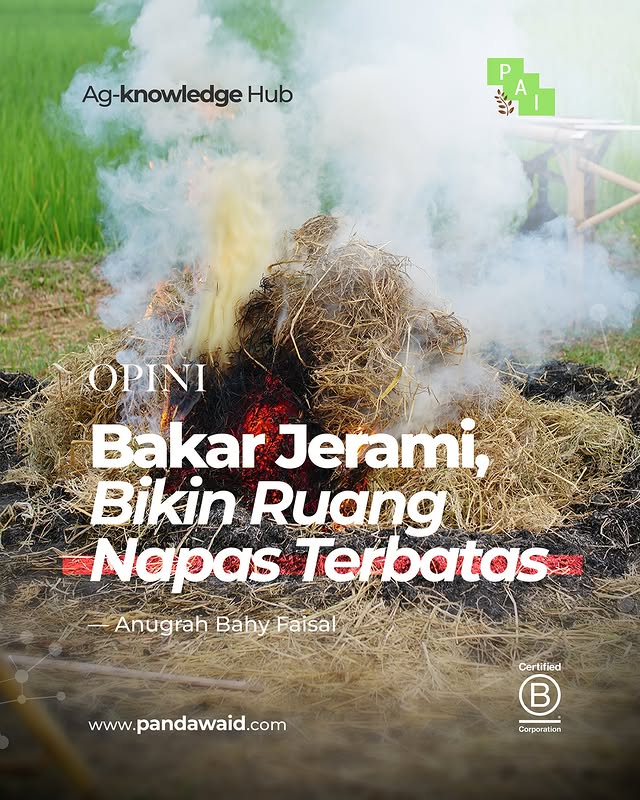 Opini : Bakar Jerami, Bikin Ruang Napas Terbatas
