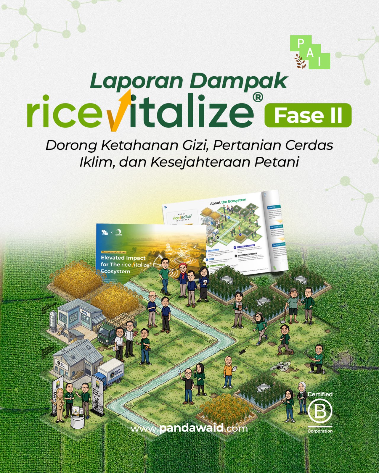 Impact Report RiceVitalize Phase II: Pandawa Agri dan Danone Indonesia Perluas Skala Beras Biofortifikasi RiceVitalize untuk Dorong Ketahanan Gizi, Pertanian Cerdas Iklim, dan Kesejahteraan Petani