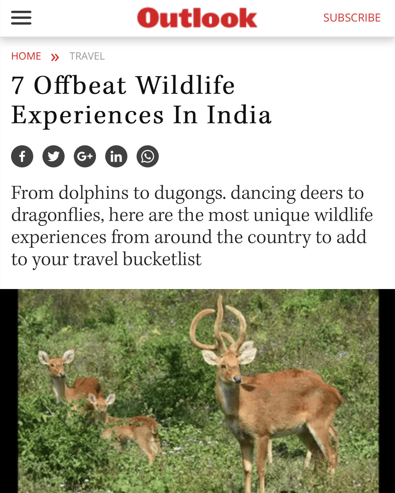 Seven Offbeat Wildlife Experiences in India