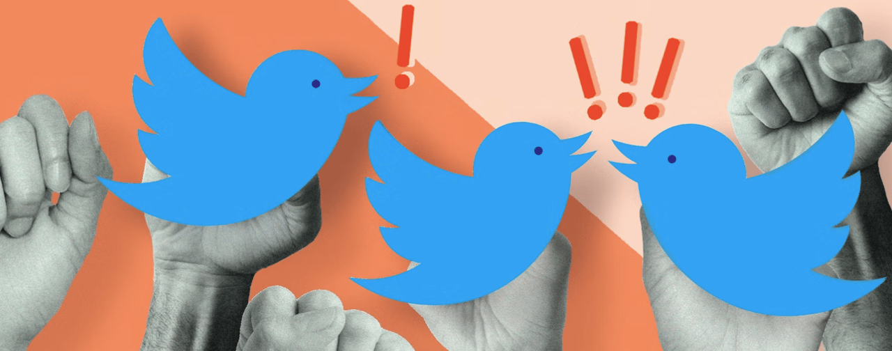 Bild zeigt einige Twittervögel und geballte Fäuste als Symbol für Protest