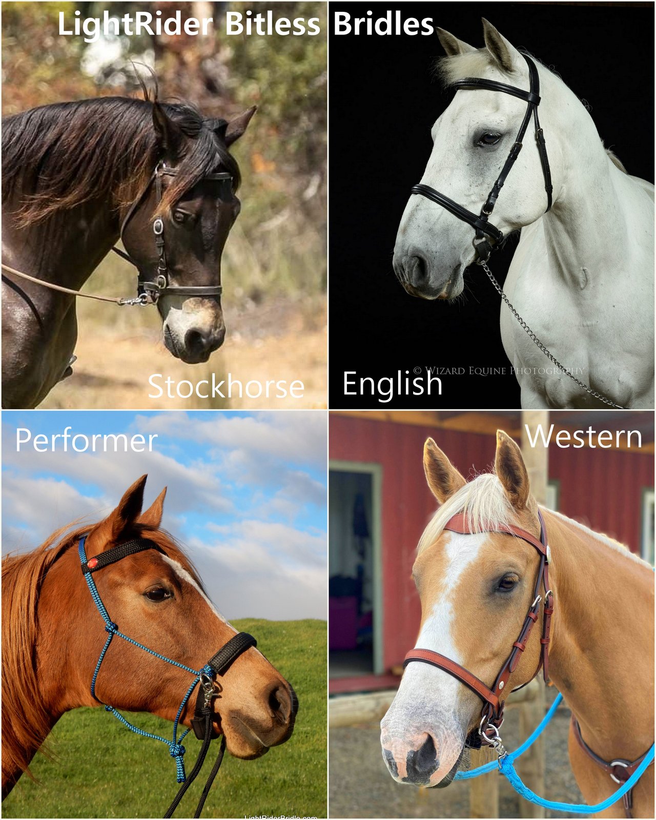 LightRider Bitless bridles collage of styles