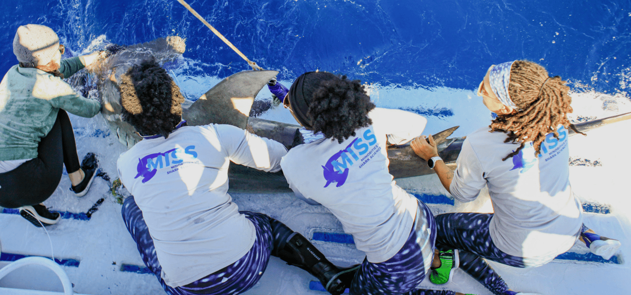 Four women holding a hammerhead shark.