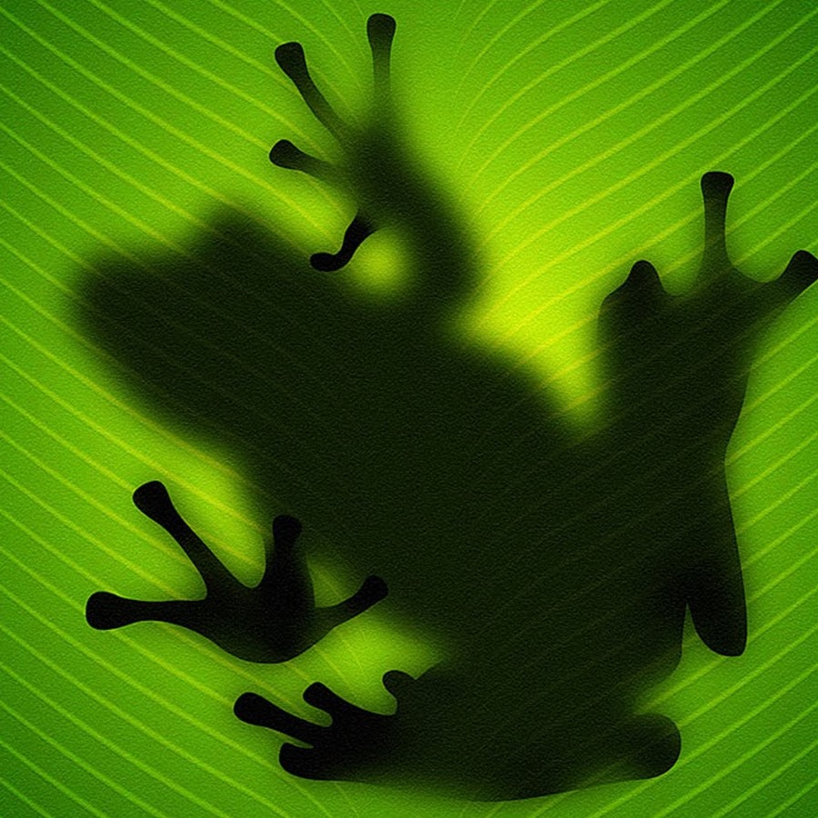 Frog a leaf