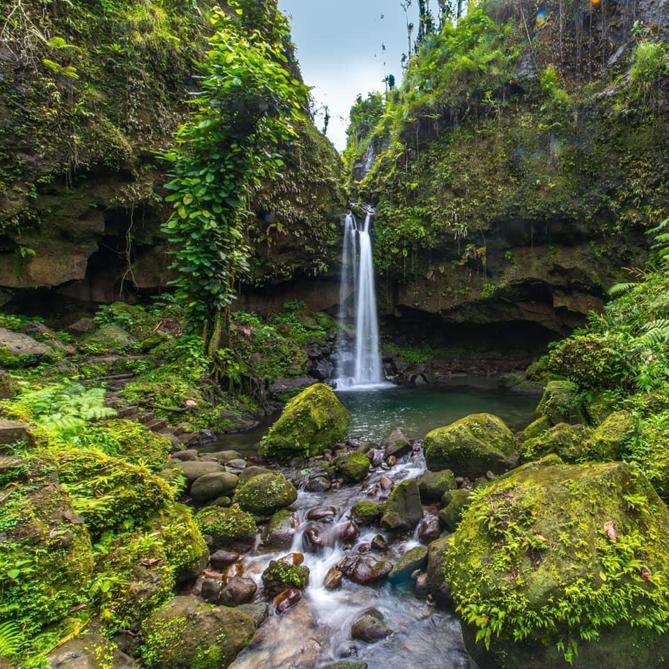 A picture captured of a beautiful waterfall in Dominica. 