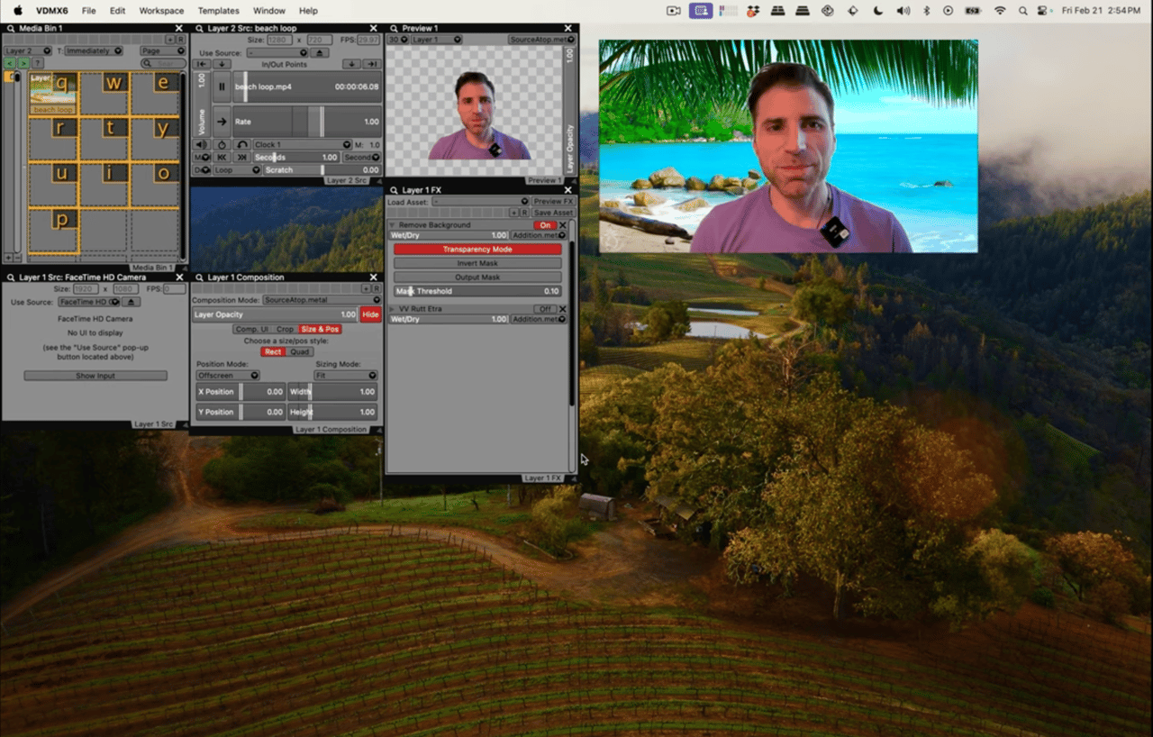 Remove backgrounds with VDMX6