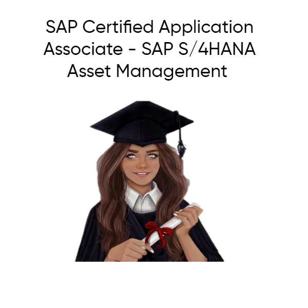 SAP C_TS413_2020 Exam Dumps