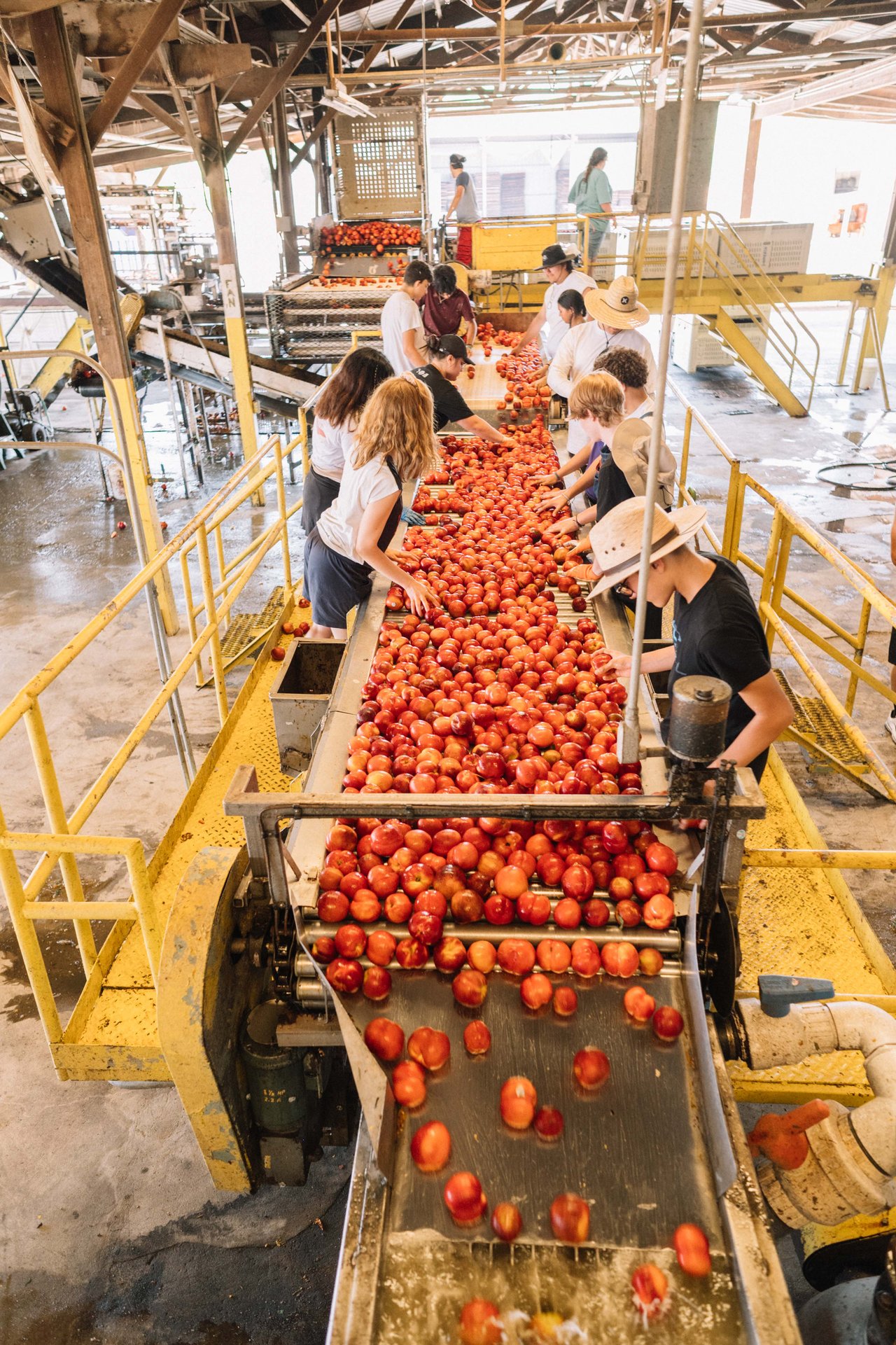 Gleanings for the Hungry