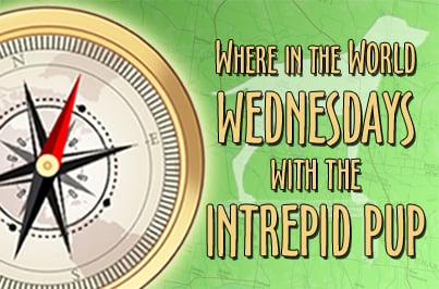 Compass graphic against a green backdrop with text, "Where in the World Wednesdays with the Intrepid Pup"