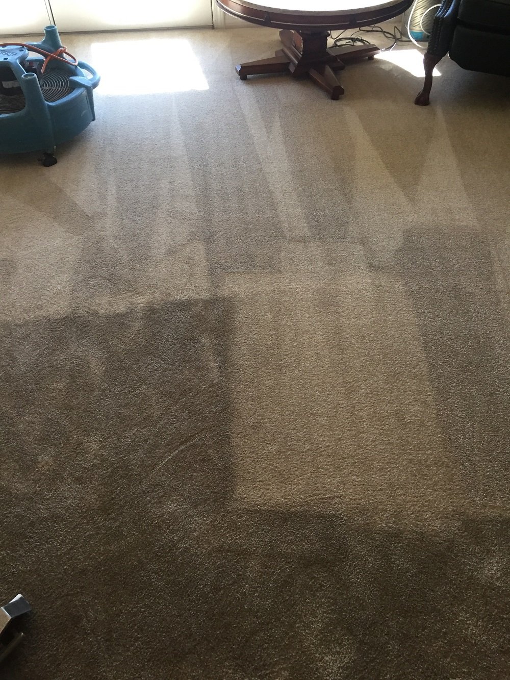 Carpet Cleaning in Vista