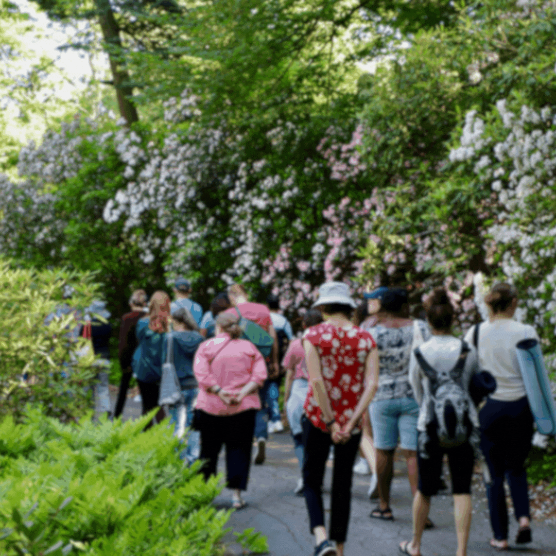 A photo of a group of people walking a path lined with flowers