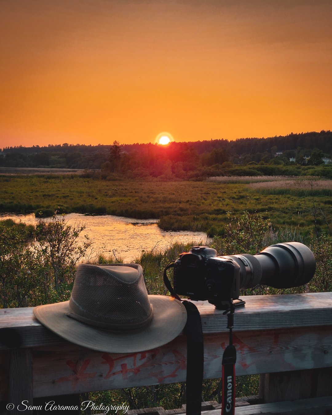 Facebook - Nature and wildlife