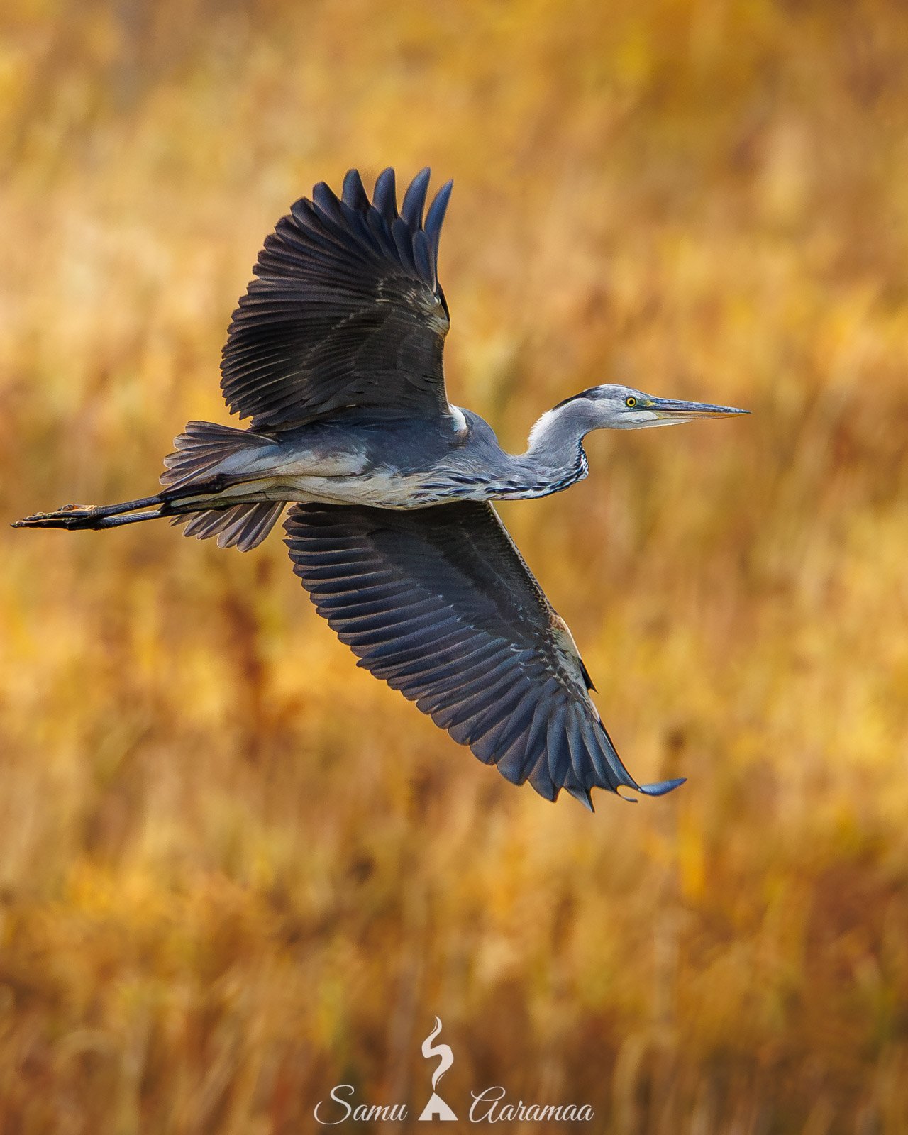 Instagram - Nature and wildlife