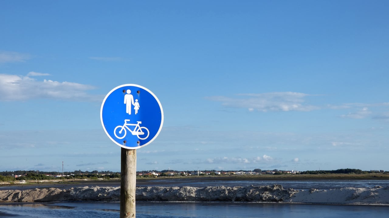 unusualsight luisrochamusician photography aveirophoto