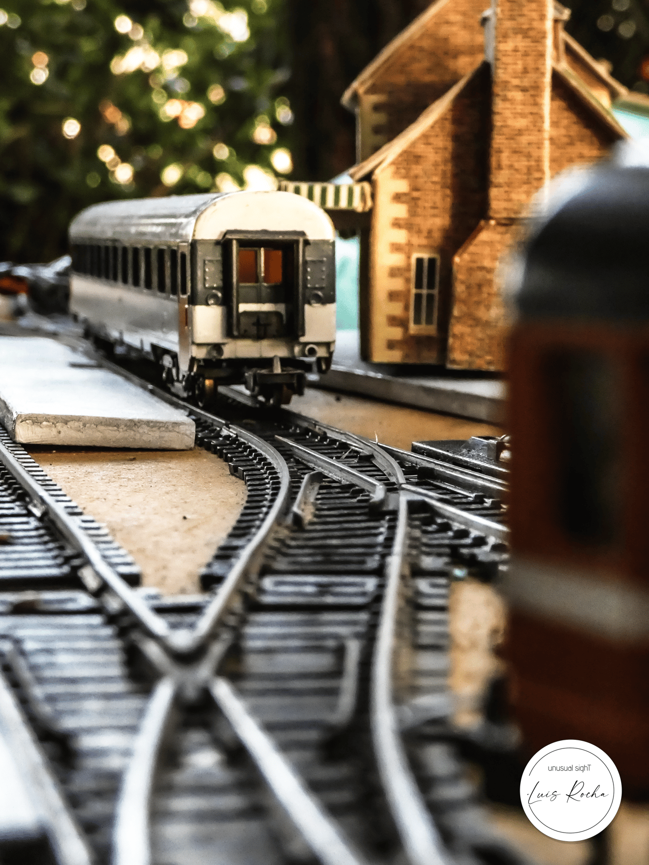 unusualsight luisrochamusician photography viseuphoto