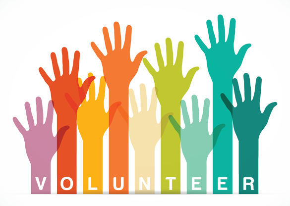 Volunteering Form Link