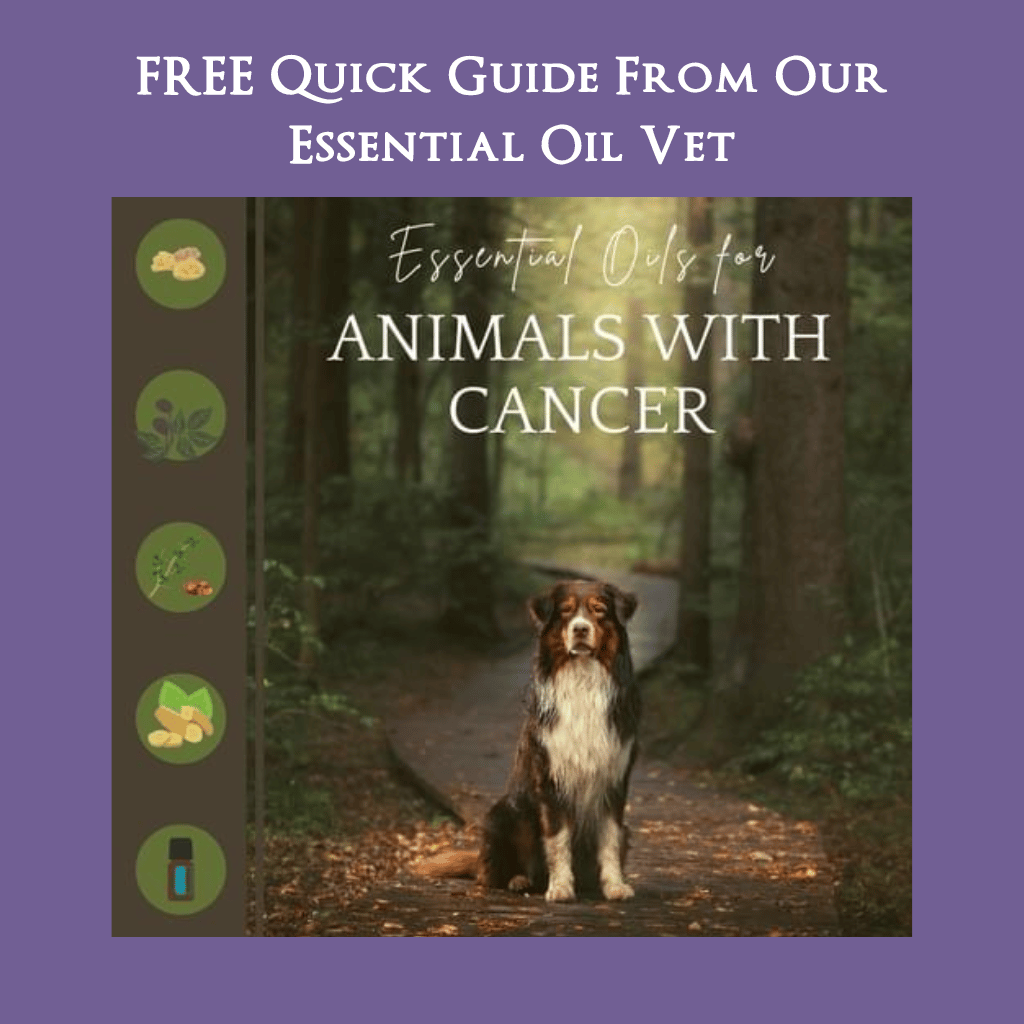 FREE Quick Guide from Our Essential Oil Vet Janet Roark, DVM  Top Five Essential Oils for ANIMALS WITH CANCER 