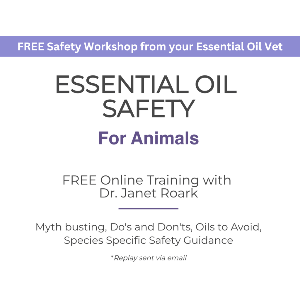 Essential Oil Myth Busting Safety Free Online Training With Dr Janet Roark
