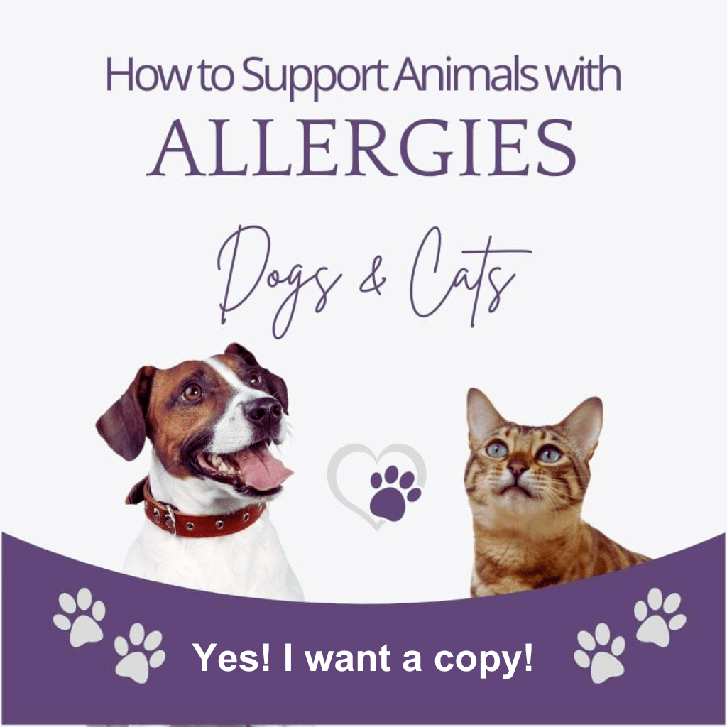 This One Page Quick Guide on How to Support Animals with Allergies using essential oils