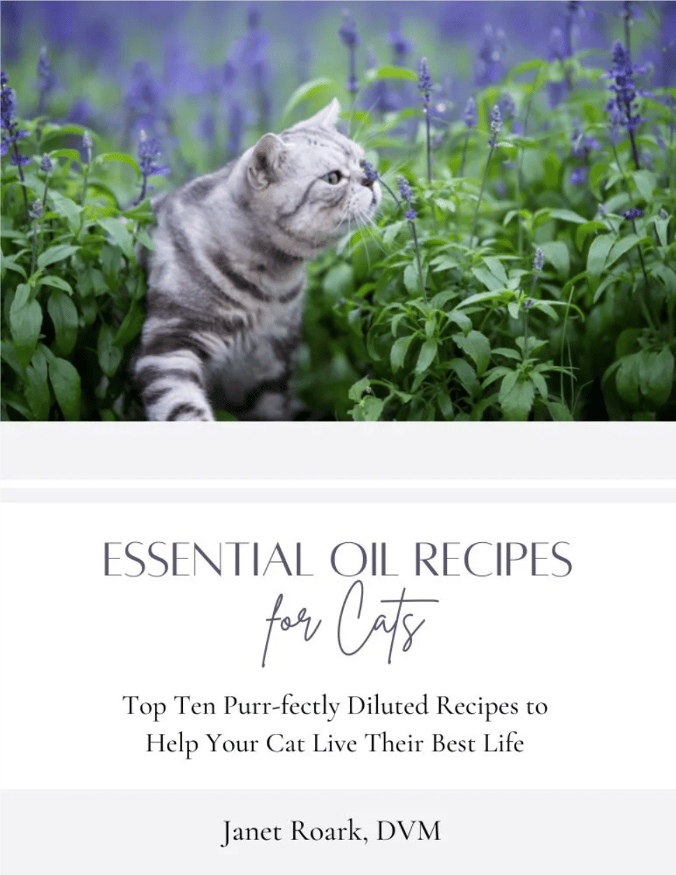 Guidelines for Using Oils Safely with Cats Includes Recommended Essential Oil Dilution for Topical Use