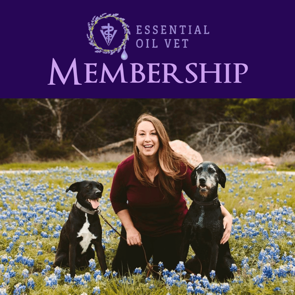 EO Vet Membership.. I want to invite you to join me on an incredible journey as we give our animals the very best care they need to live happy, healthy and longer lives, naturally!... Whether you are brand new to essential oils or are a seasoned pro, the EO Vet Membership is tailored to your needs. If you love your animals and want the knowledge and skills needed to be the BEST advocate for them throughout their lives, this is for you!