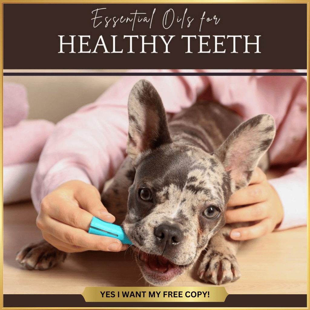 This One Page Quick Guide includes: The Best Essential Oils for Promoting Healthy Teeth. How to Clean Your Pets Teeth (YouTube video - under 2 minutes). Raw Bones for Dogs to Support Oral Health.  ​DIY Toothpaste Recipe for Pets (& People).