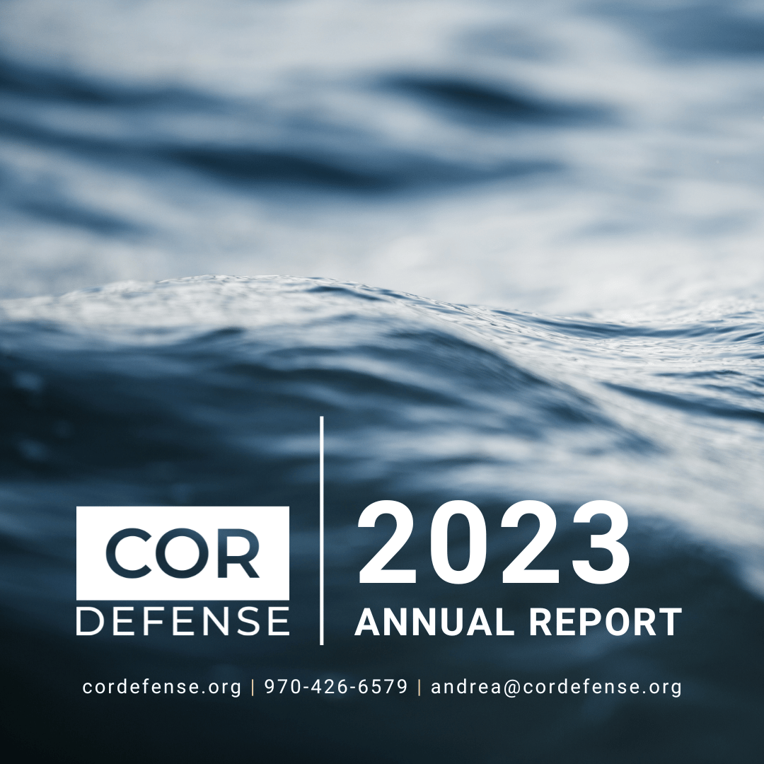 A photograph of the ocean as the front page of our annual report