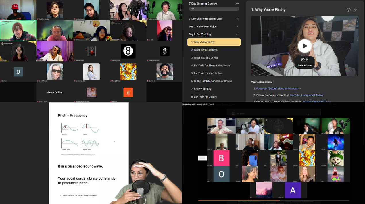 Screenshot of workshop pictures on Zoom.