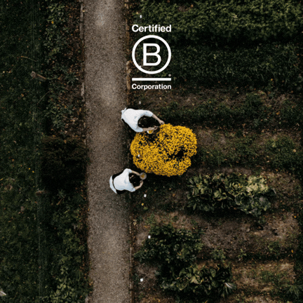 Chefs picking flowers from a green field