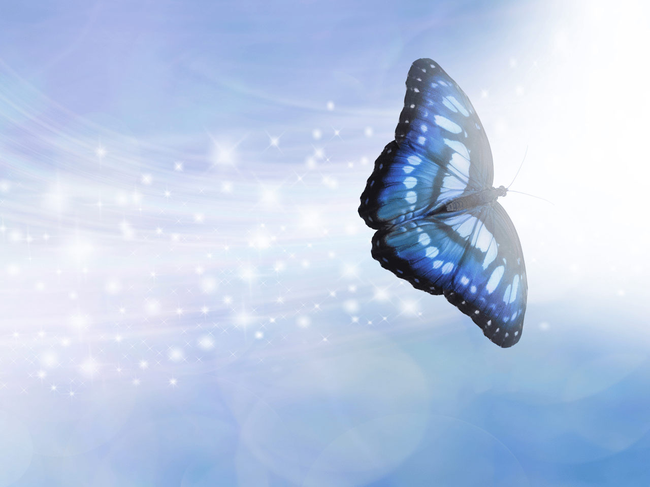 Blue butterfly flying in the sky