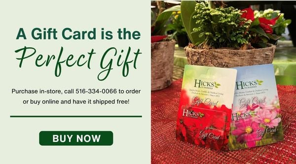 Hicks Nurseries Gift Cards
