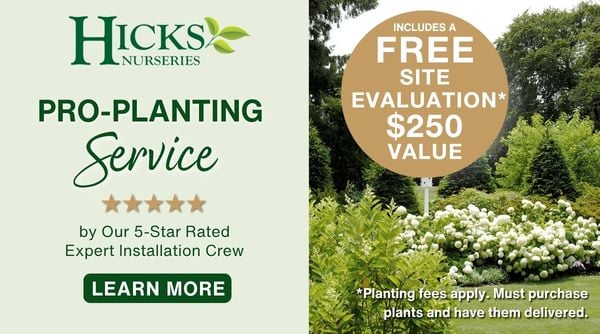 Hicks Nurseries Pro-Planting Service
