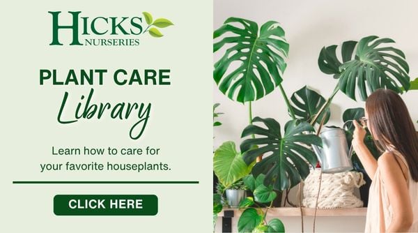 Hicks Nurseries Plant Care Library