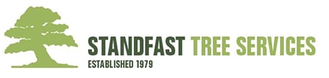 Standfast Tree Services, your premier tree service provider on the Northern Beaches, offers a comprehensive range of solutions.