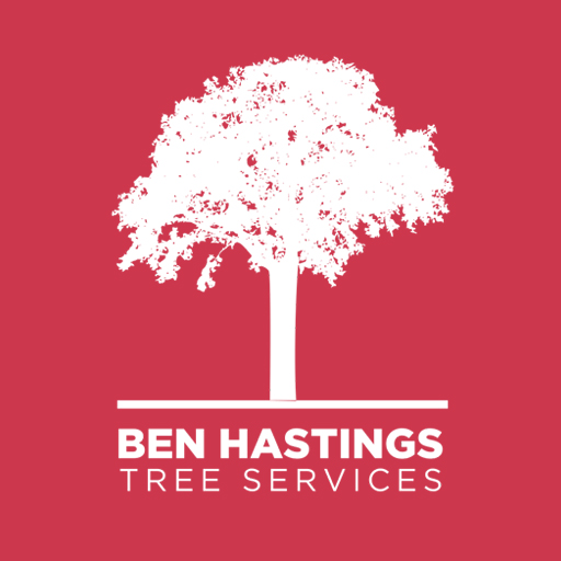 We are professional tree care solutions, serving clients across Somersby, Central Coast Council, & Hornsby Shire.