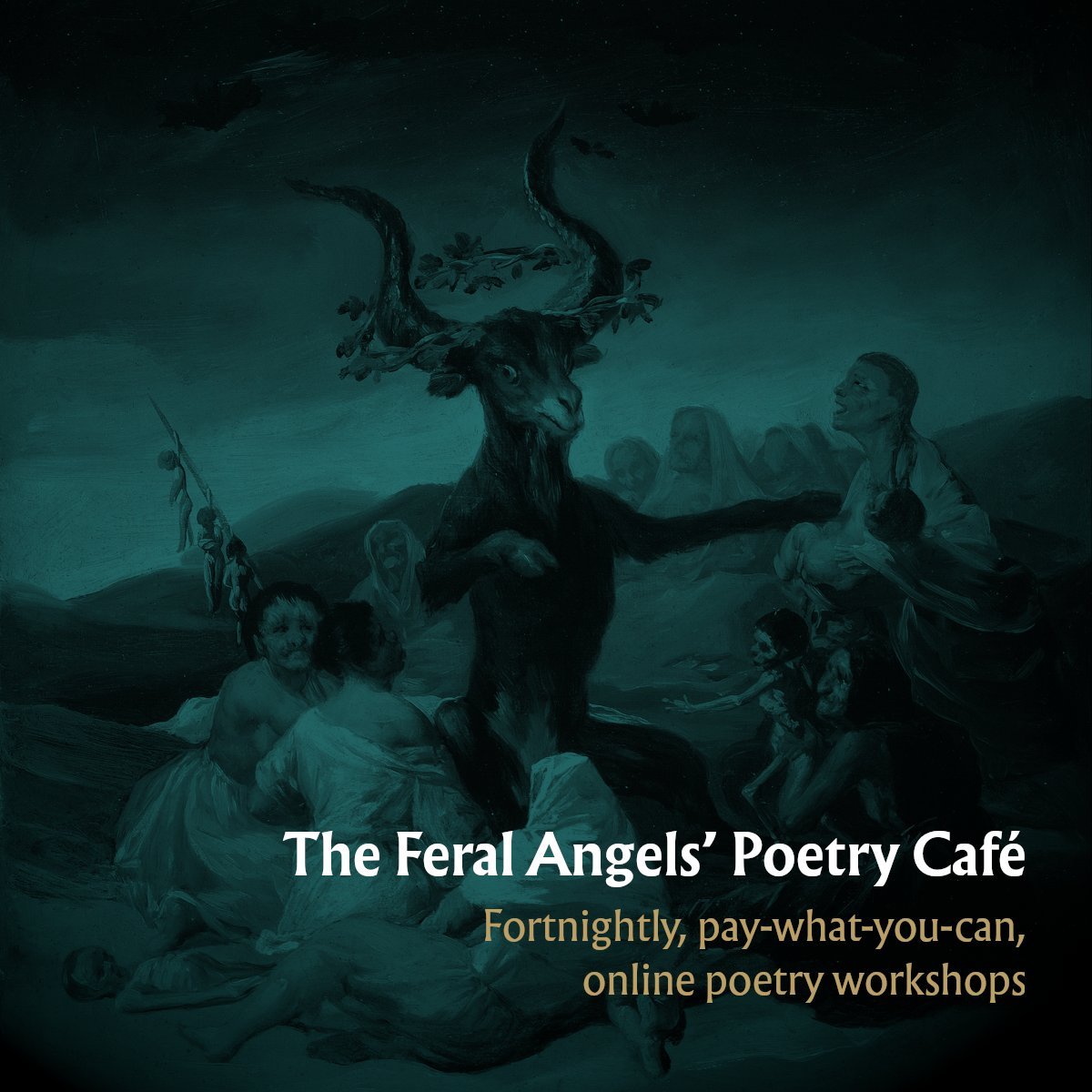 A boquet of pink and white flowers shot from an angle