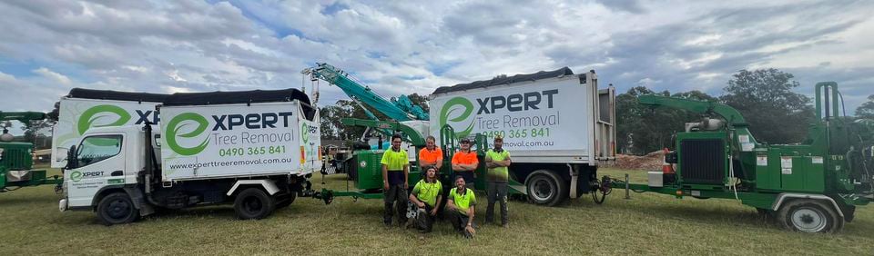 Expert Tree Removal Pty Ltd is a family-owned and operated business based in Northwestern Sydney.