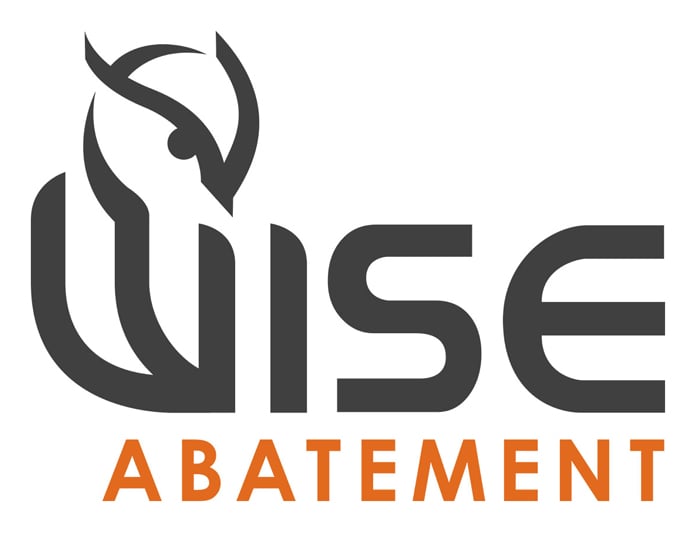 At Wise Abatement, our team of trained experts treat every project like it's their own home.