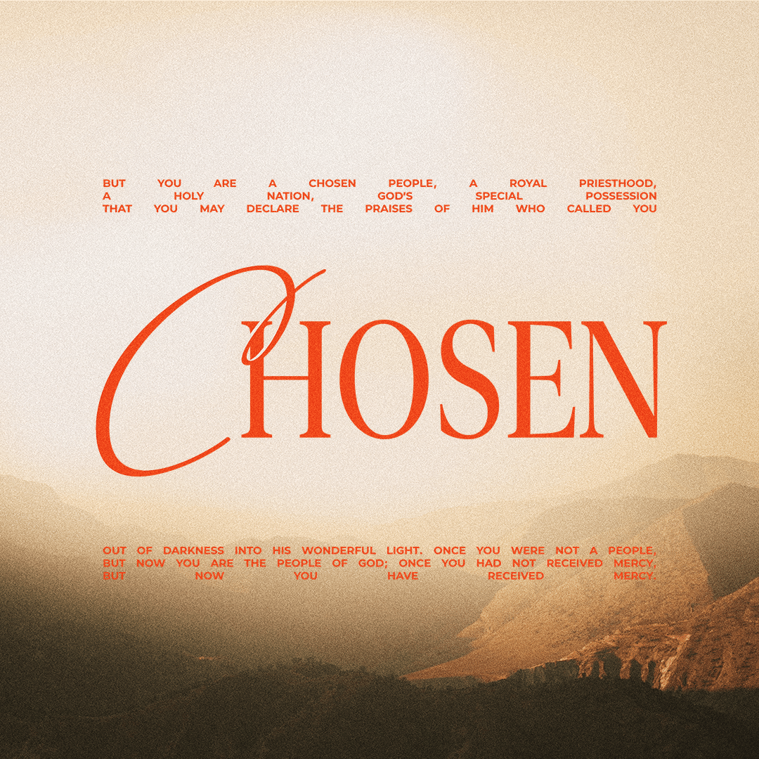Current Series: Chosen