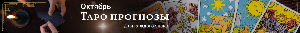 liveexpert