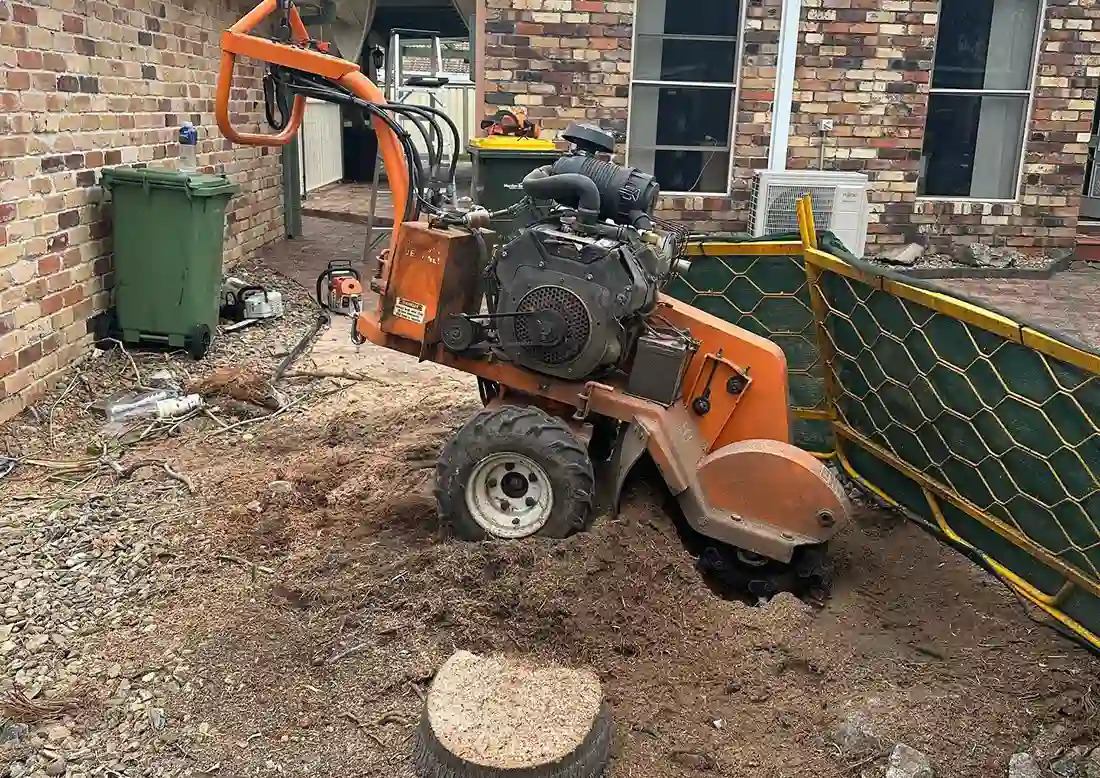 Stump Grinding