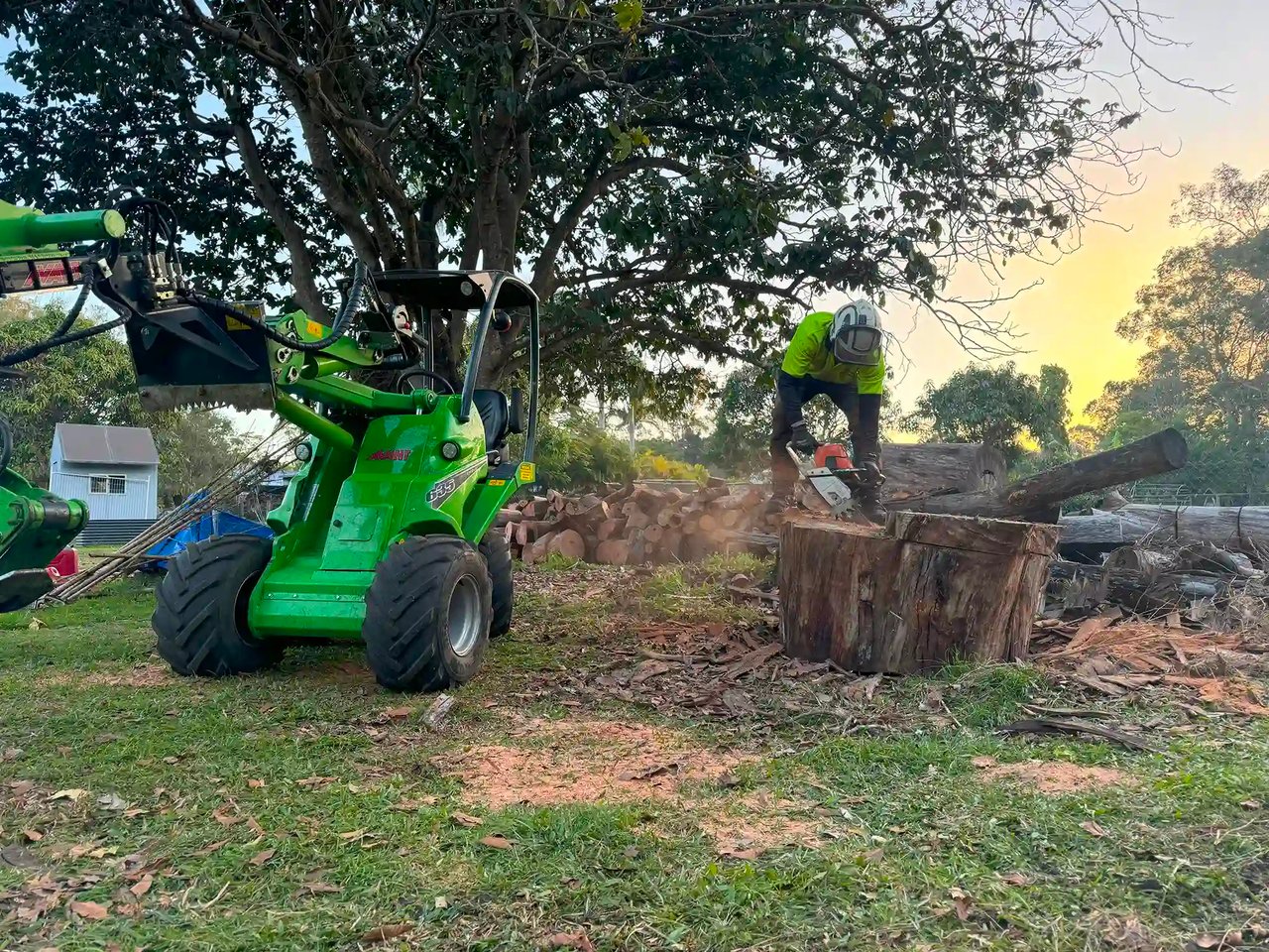 24/7 Emergency Tree Service